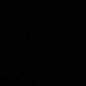 Meet your Posher, Aviva